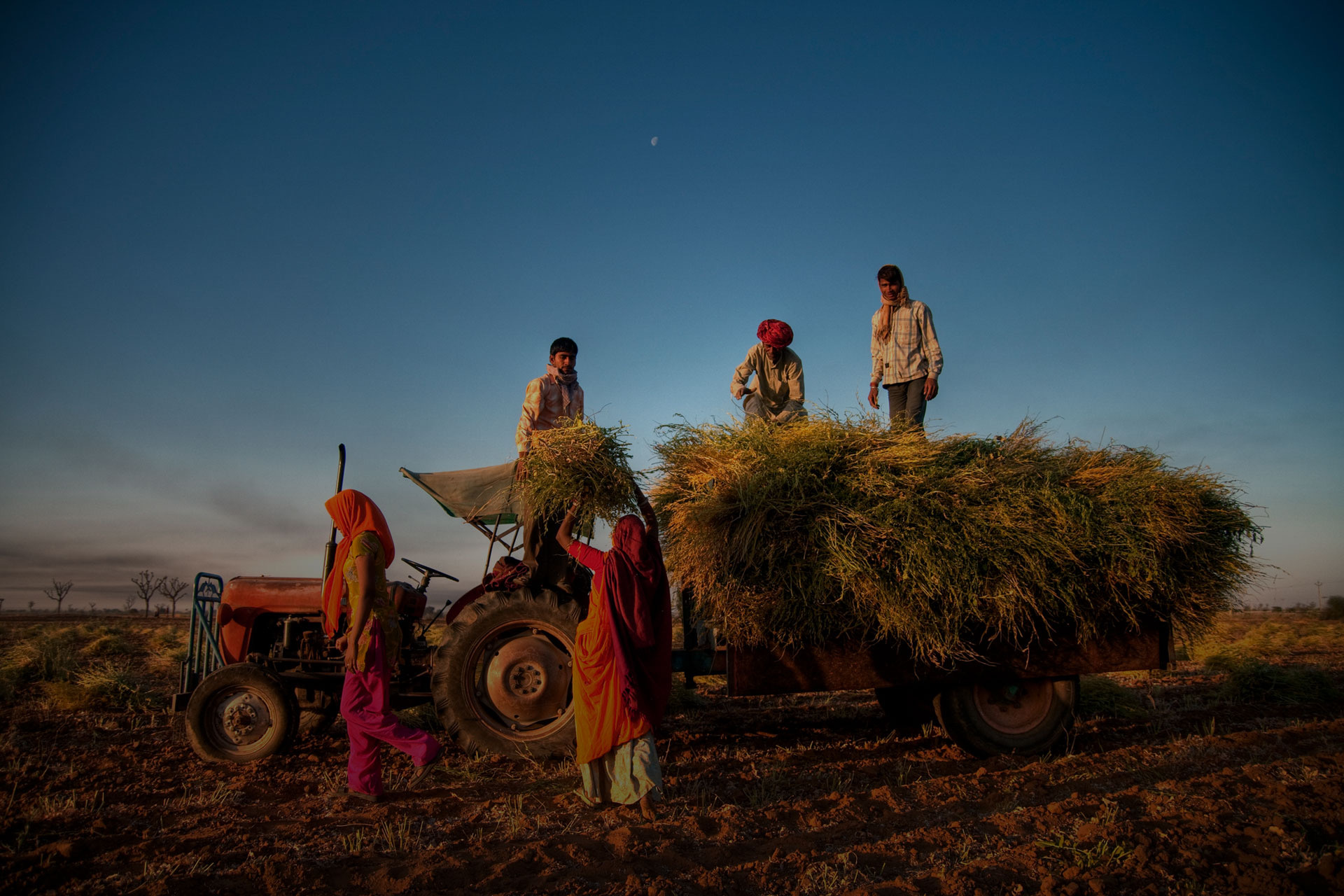 canada-s-unions-stand-with-india-s-farmers-and-farm-workers-canadian